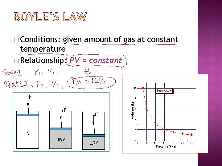 � Conditions: given amount of gas at constant temperature � Relationship: PV = constant