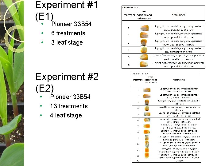 Experiment #1 (E 1) • • • Pioneer 33 B 54 6 treatments 3