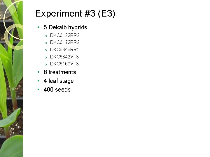 Experiment #3 (E 3) • 5 Dekalb hybrids o DKC 6122 RR 2 o