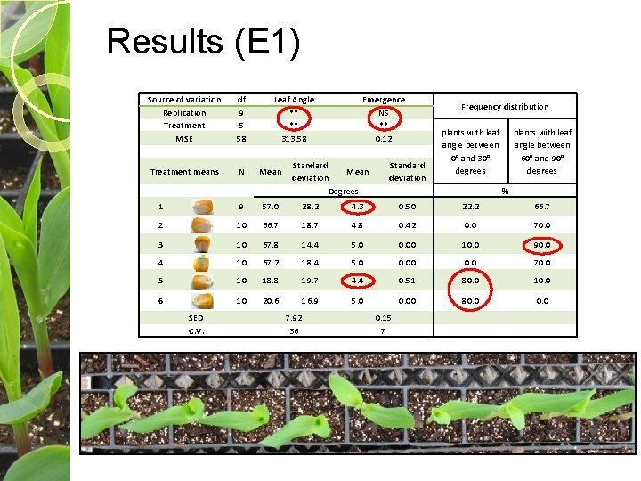 Results (E 1) Source of variation Replication Treatment MSE df 9 5 58 Treatment