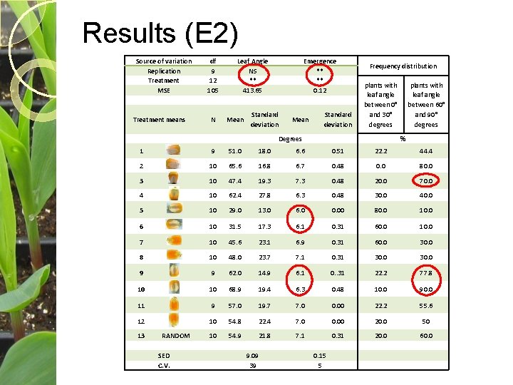 Results (E 2) Source of variation Replication Treatment MSE Treatment means df 9 12