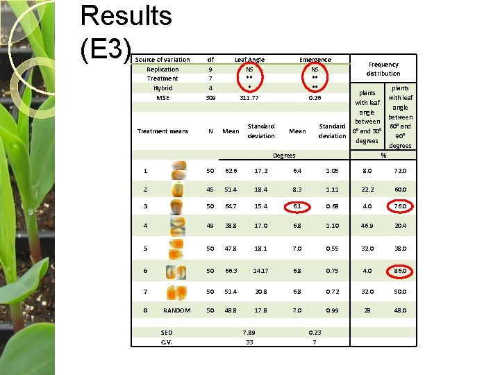 Results (E 3) Source of variation Replication Treatment Hybrid MSE df 9 7 4
