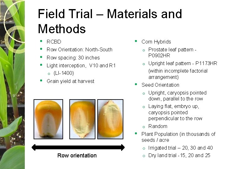 Field Trial – Materials and Methods • • • RCBD • Row Orientation: North-South