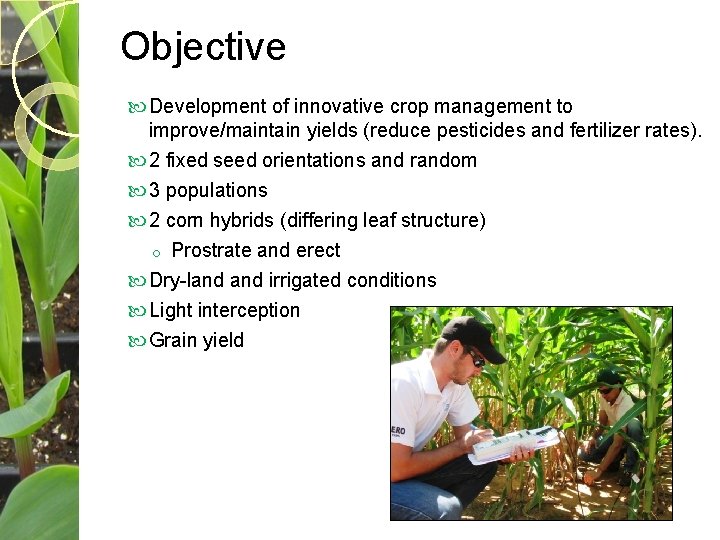 Objective Development of innovative crop management to improve/maintain yields (reduce pesticides and fertilizer rates).