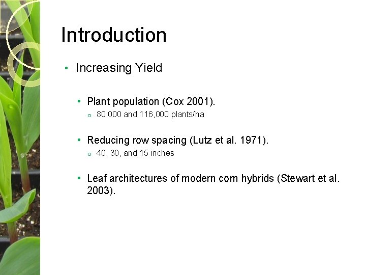 Introduction • Increasing Yield • Plant population (Cox 2001). o 80, 000 and 116,