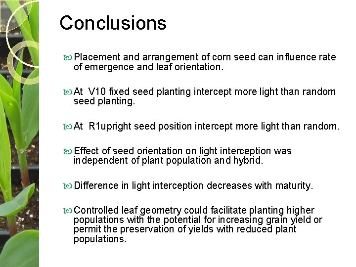 Conclusions Placement and arrangement of corn seed can influence rate of emergence and leaf