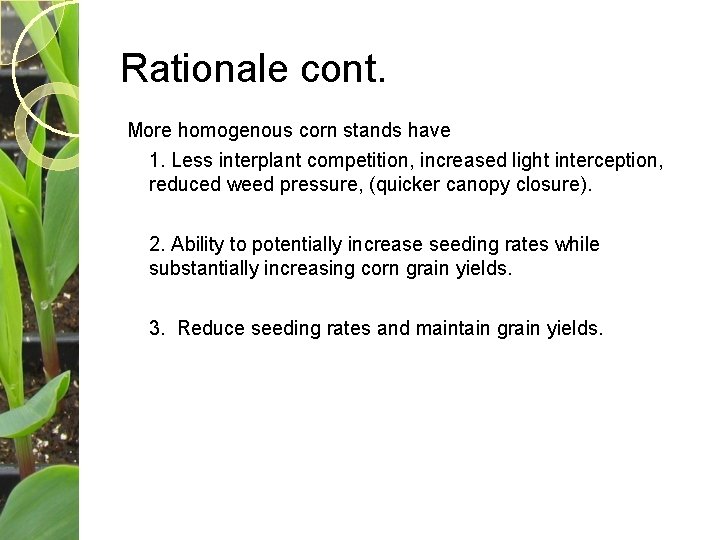 Rationale cont. More homogenous corn stands have 1. Less interplant competition, increased light interception,