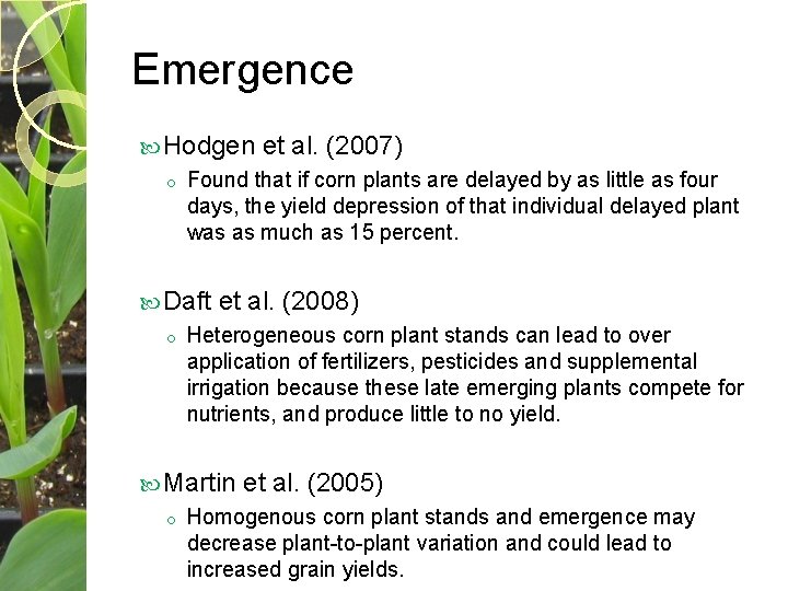 Emergence Hodgen o Found that if corn plants are delayed by as little as