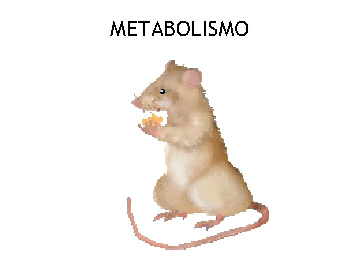 METABOLISMO 