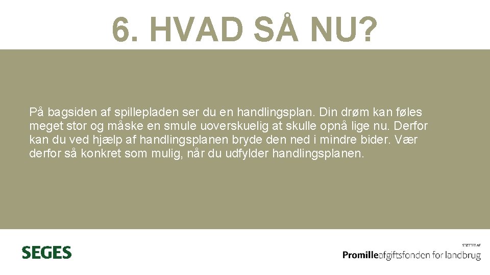 6. HVAD SÅ NU? På bagsiden af spillepladen ser du en handlingsplan. Din drøm