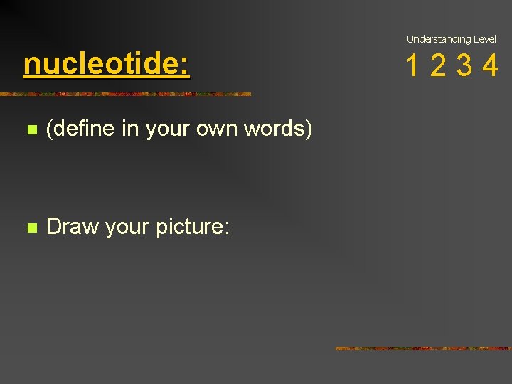 Understanding Level nucleotide: n (define in your own words) n Draw your picture: 1234