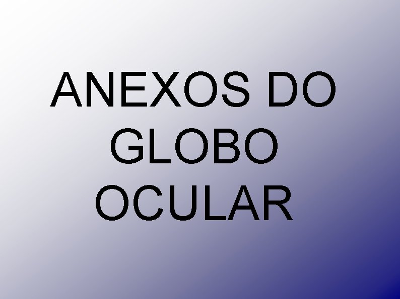 ANEXOS DO GLOBO OCULAR 