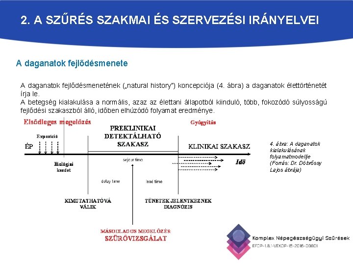 2. A SZŰRÉS SZAKMAI ÉS SZERVEZÉSI IRÁNYELVEI A daganatok fejlődésmenete A daganatok fejlődésmenetének („natural