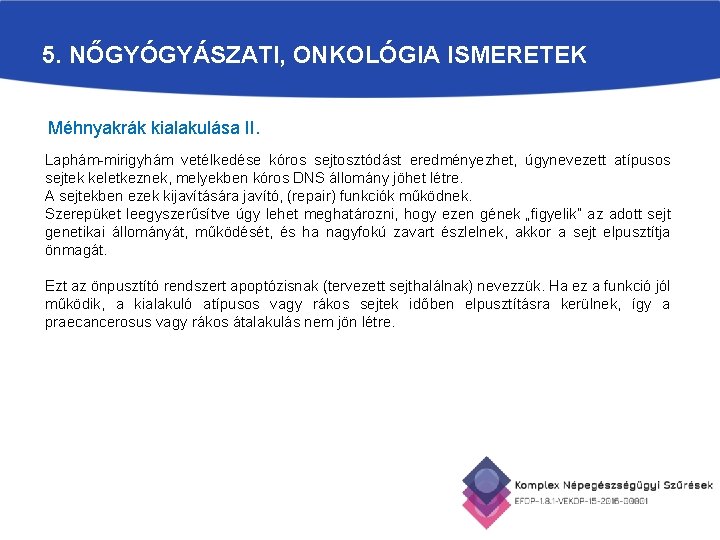 5. NŐGYÓGYÁSZATI, ONKOLÓGIA ISMERETEK Méhnyakrák kialakulása II. Laphám-mirigyhám vetélkedése kóros sejtosztódást eredményezhet, úgynevezett atípusos