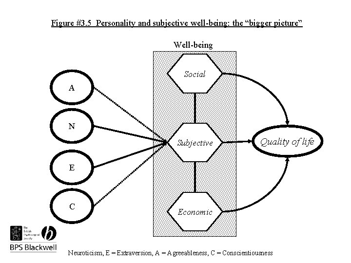 Figure #3. 5 Personality and subjective well-being: the “bigger picture” Well-being Social A N