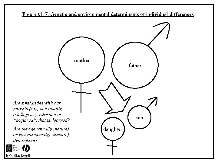 Figure #1. 7: Genetic and environmental determinants of individual differences mother father Are similarities