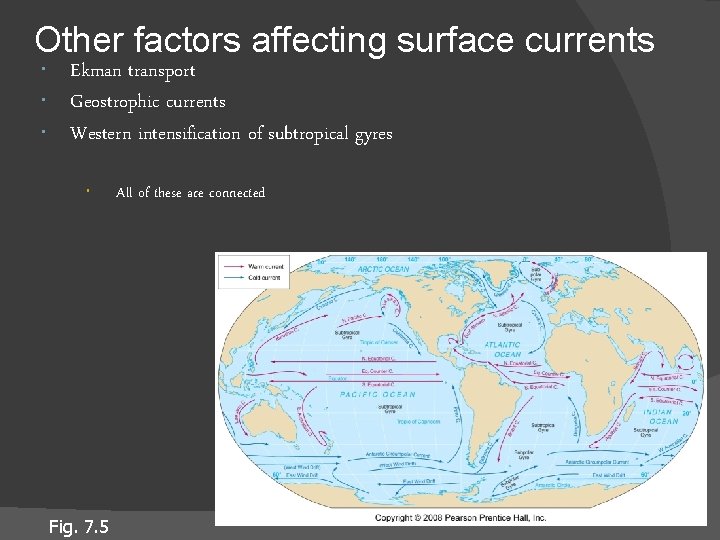 Other factors affecting surface currents Ekman transport Geostrophic currents Western intensification of subtropical gyres