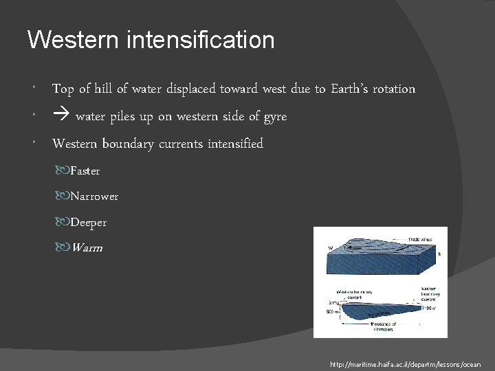 Western intensification Top of hill of water displaced toward west due to Earth’s rotation