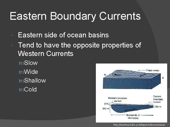 Eastern Boundary Currents Eastern side of ocean basins Tend to have the opposite properties