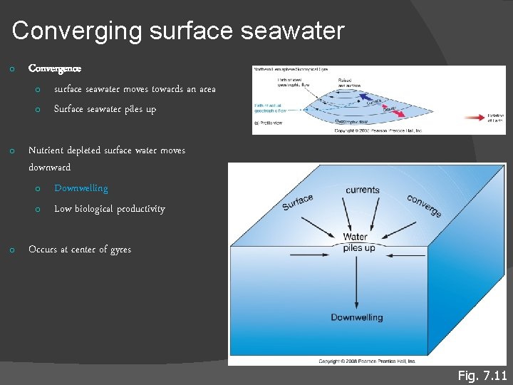 Converging surface seawater o Convergence o surface seawater moves towards an area o Surface