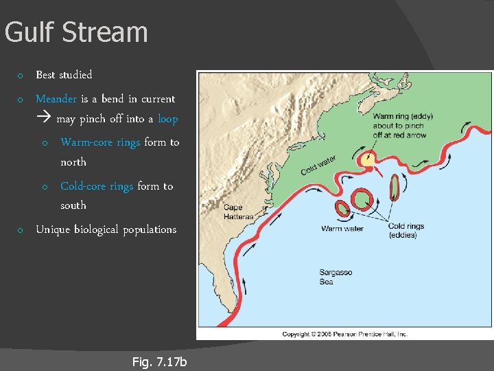 Gulf Stream o o o Best studied Meander is a bend in current may