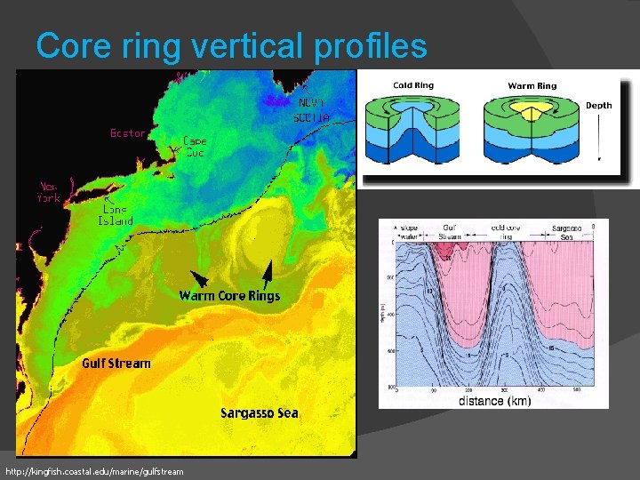 Core ring vertical profiles http: //kingfish. coastal. edu/marine/gulfstream 