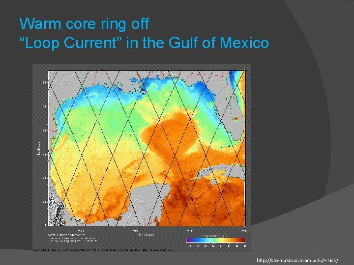 Warm core ring off “Loop Current” in the Gulf of Mexico http: //storm. rsmas.