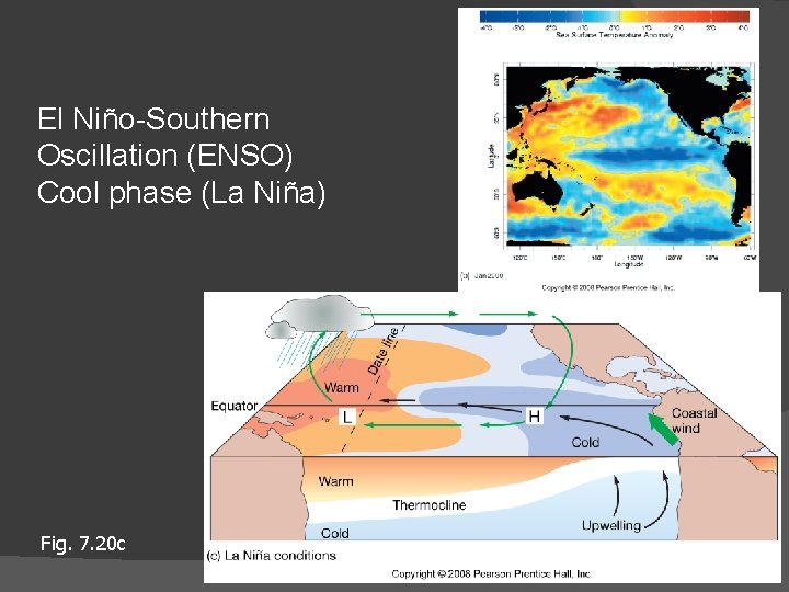 El Niño-Southern Oscillation (ENSO) Cool phase (La Niña) Fig. 7. 20 c 