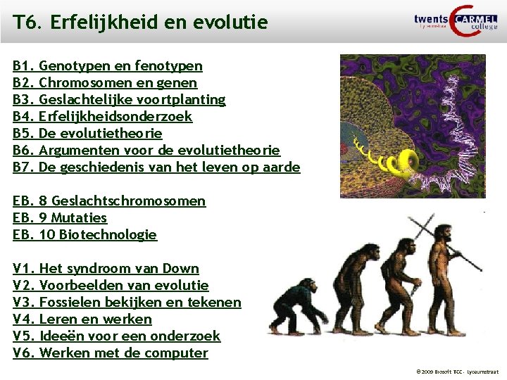 T 6. Erfelijkheid en evolutie B 1. B 2. B 3. B 4. B
