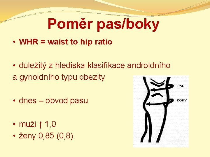 Poměr pas/boky • WHR = waist to hip ratio • důležitý z hlediska klasifikace