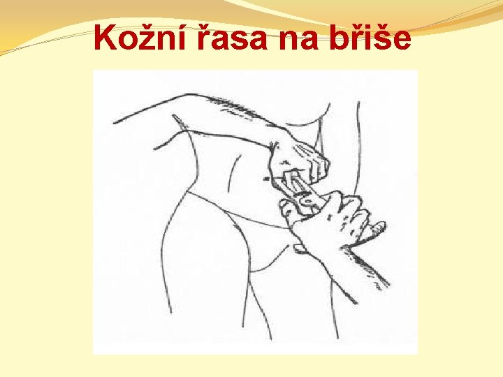 Kožní řasa na břiše 