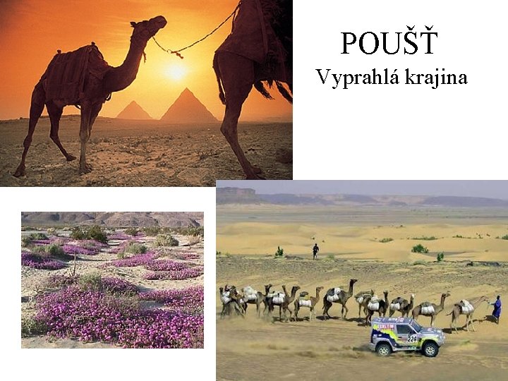 POUŠŤ Vyprahlá krajina 