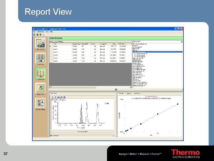 Report View 37 