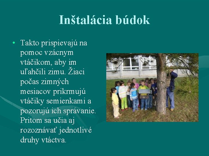 Inštalácia búdok • Takto prispievajú na pomoc vzácnym vtáčikom, aby im uľahčili zimu. Žiaci