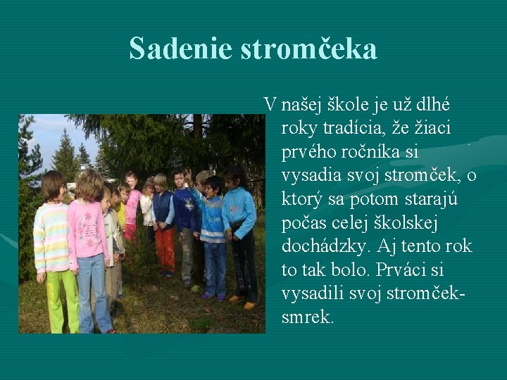 Sadenie stromčeka V našej škole je už dlhé roky tradícia, že žiaci prvého ročníka