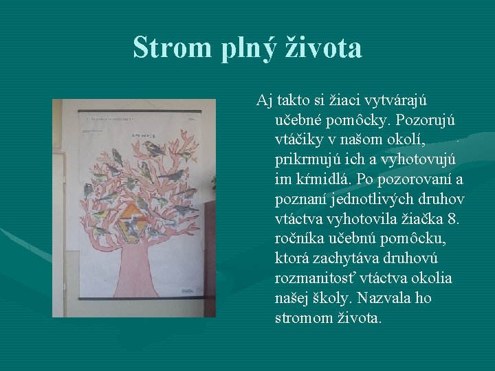 Strom plný života Aj takto si žiaci vytvárajú učebné pomôcky. Pozorujú vtáčiky v našom