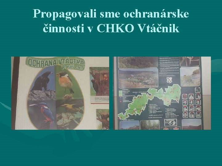 Propagovali sme ochranárske činnosti v CHKO Vtáčnik 