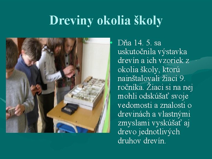 Dreviny okolia školy • Dňa 14. 5. sa uskutočnila výstavka drevín a ich vzoriek