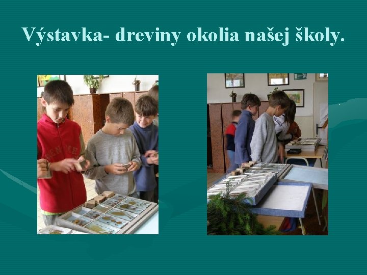 Výstavka- dreviny okolia našej školy. 