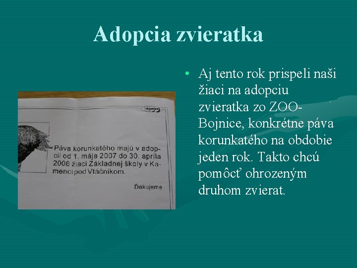 Adopcia zvieratka • Aj tento rok prispeli naši žiaci na adopciu zvieratka zo ZOOBojnice, Adopcia zvieratka • Aj tento rok prispeli naši žiaci na adopciu zvieratka zo ZOOBojnice,