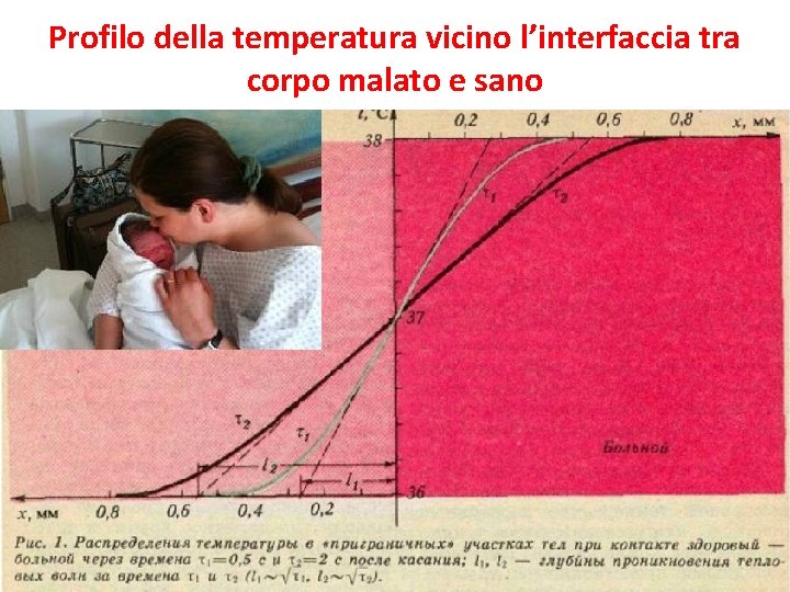 Profilo della temperatura vicino l’interfaccia tra corpo malato e sano 