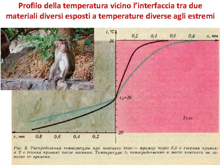 Profilo della temperatura vicino l’interfaccia tra due materiali diversi esposti a temperature diverse agli