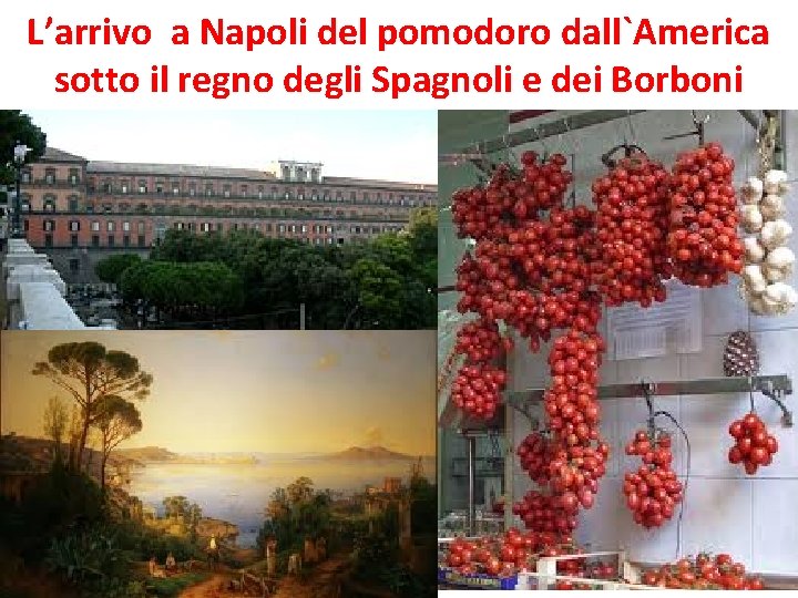 L’arrivo a Napoli del pomodoro dall`America sotto il regno degli Spagnoli e dei Borboni