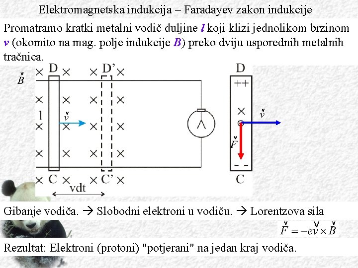 Elektromagnetska indukcija – Faradayev zakon indukcije Promatramo kratki metalni vodič duljine l koji klizi