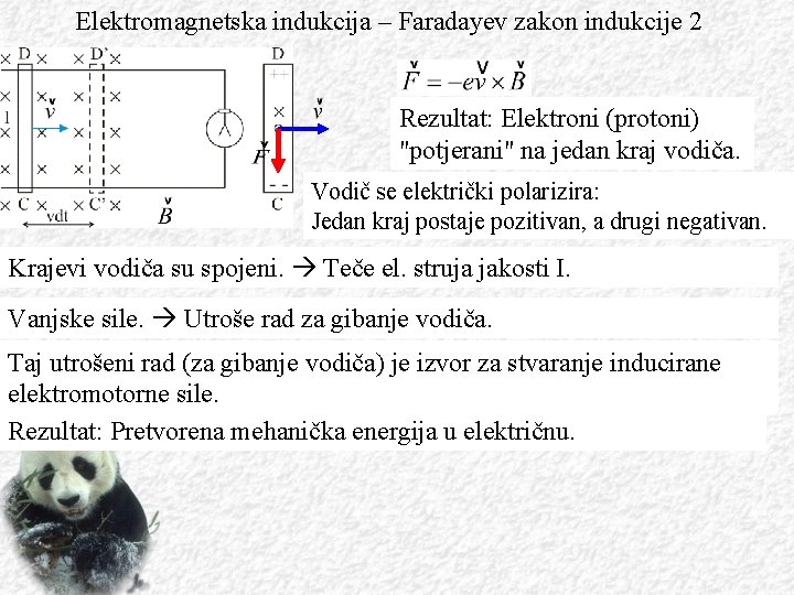 Elektromagnetska indukcija – Faradayev zakon indukcije 2 Rezultat: Elektroni (protoni) "potjerani" na jedan kraj