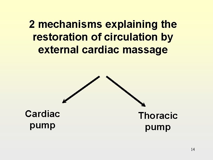 2 mechanisms explaining the restoration of circulation by external cardiac massage Cardiac pump Thoracic