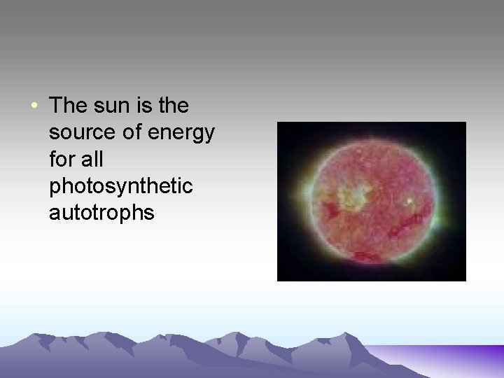  • The sun is the source of energy for all photosynthetic autotrophs 