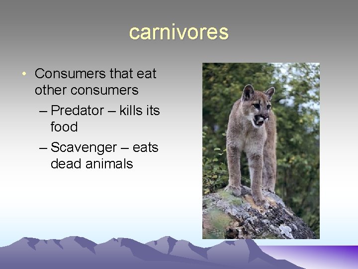 carnivores • Consumers that eat other consumers – Predator – kills its food –