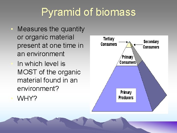 Pyramid of biomass • Measures the quantity or organic material present at one time