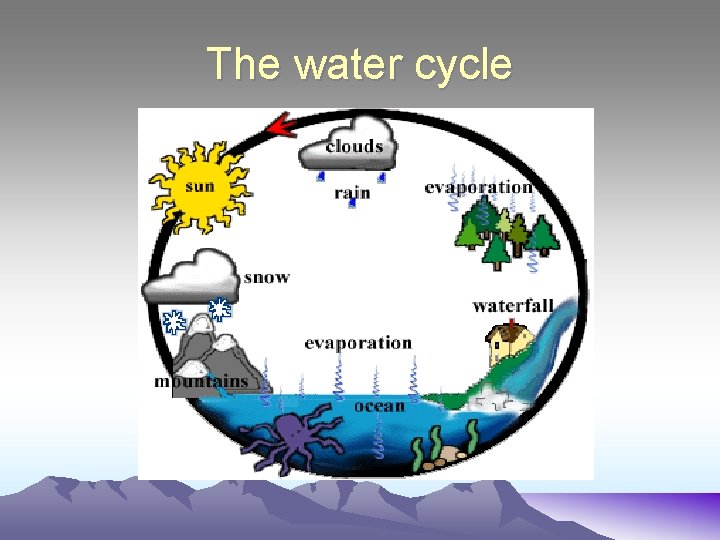 The water cycle 